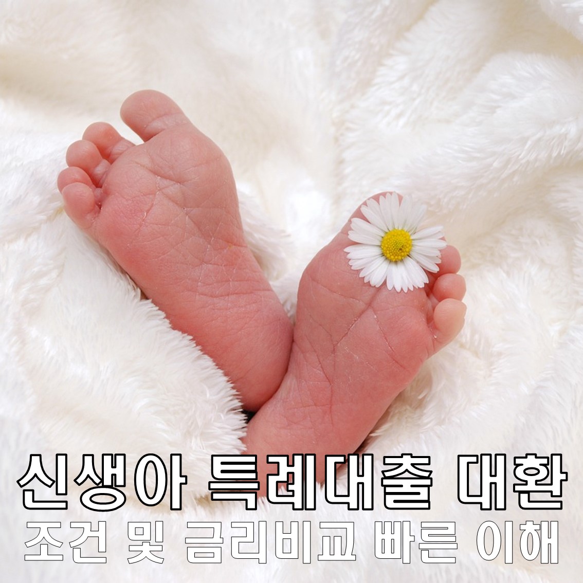 신생아 특례대출 대환 조건 및 금리비교, 쉽고 빠른 이해로 경제 안정 찾기